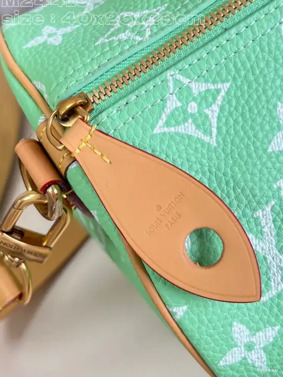 40 Vuitton SPEEDY Louis 0519